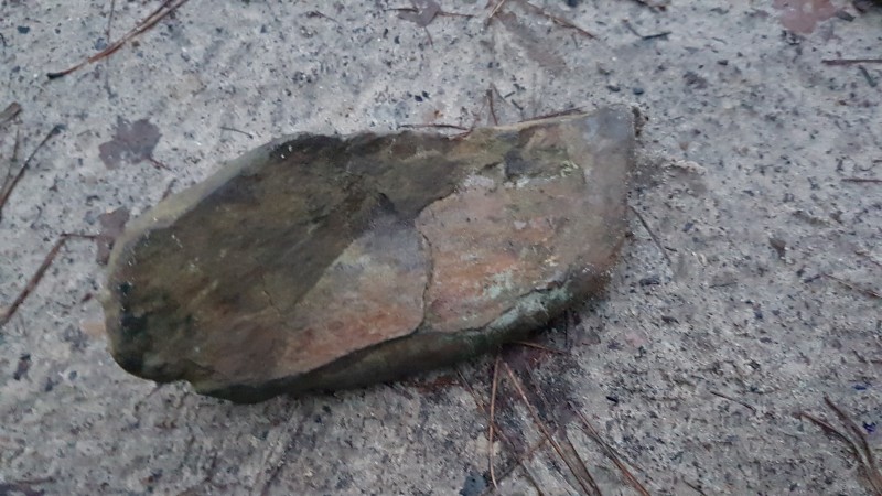20201222_164134.jpg