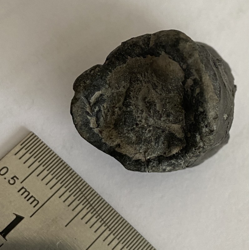 B5532DC2-CB91-4C30-825A-9466B8C7CF01.jpeg (785.82 KiB) 364 keer bekeken B5532DC2-CB91-4C30-825A-9466B8C7CF01.jpeg