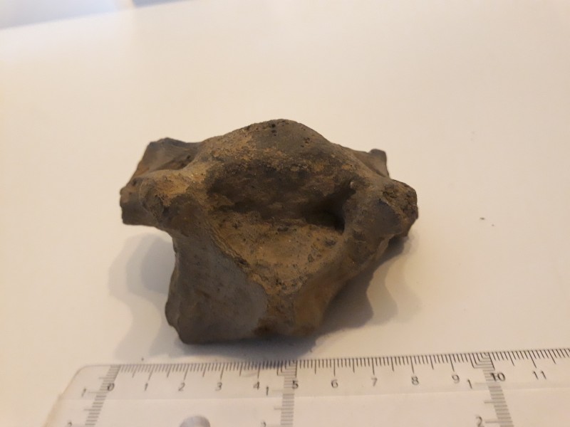 20201224_112807.jpg