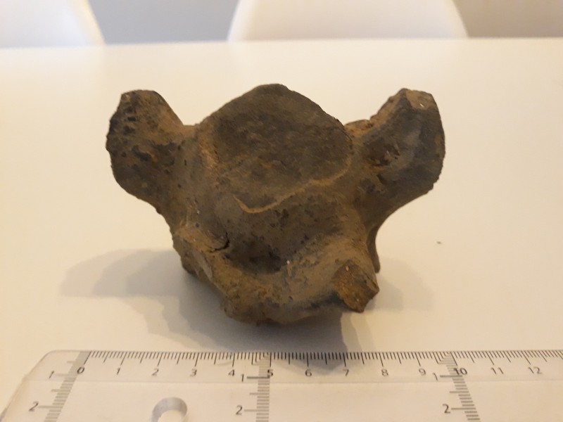 20201224_112746.jpg