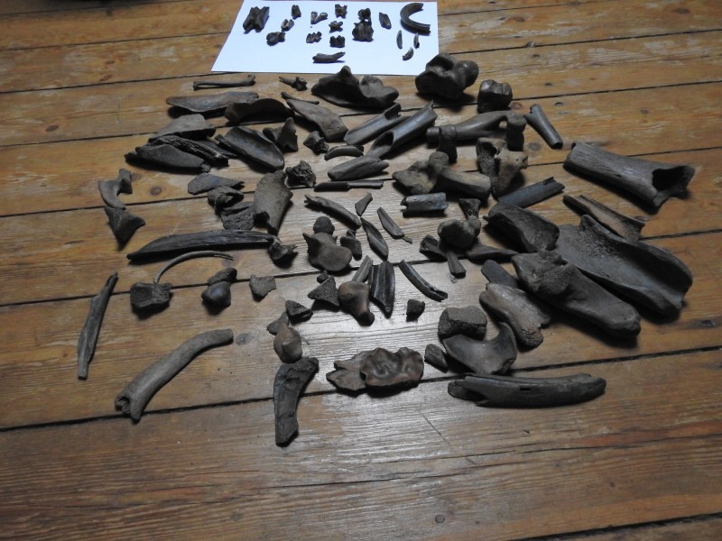 DSCN2818.JPG