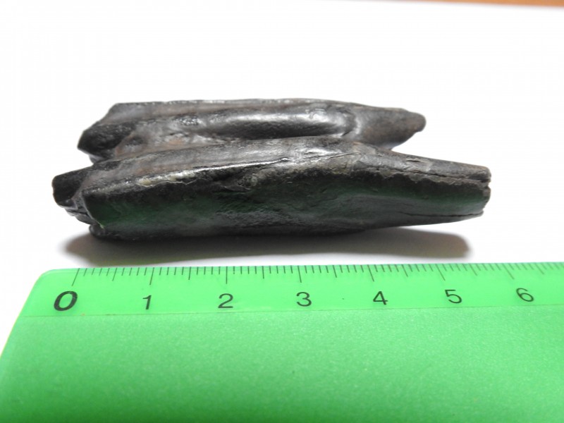 DSCN2832.JPG