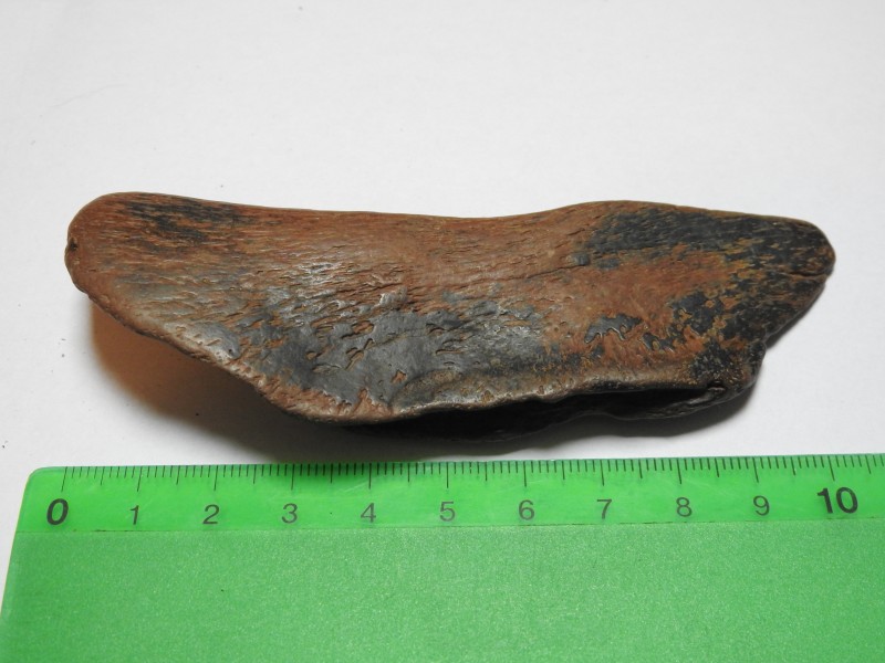 DSCN2917.JPG