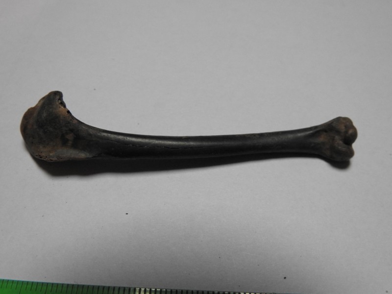 DSCN2890.JPG
