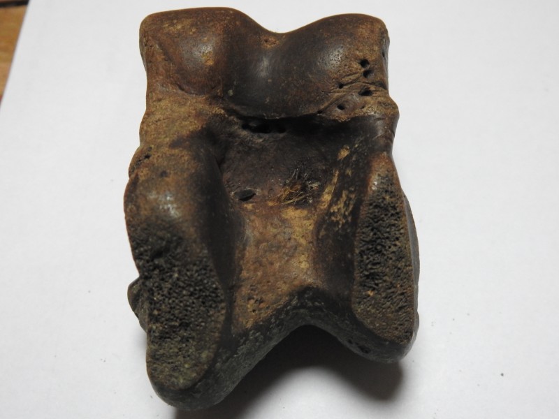 DSCN2897.JPG