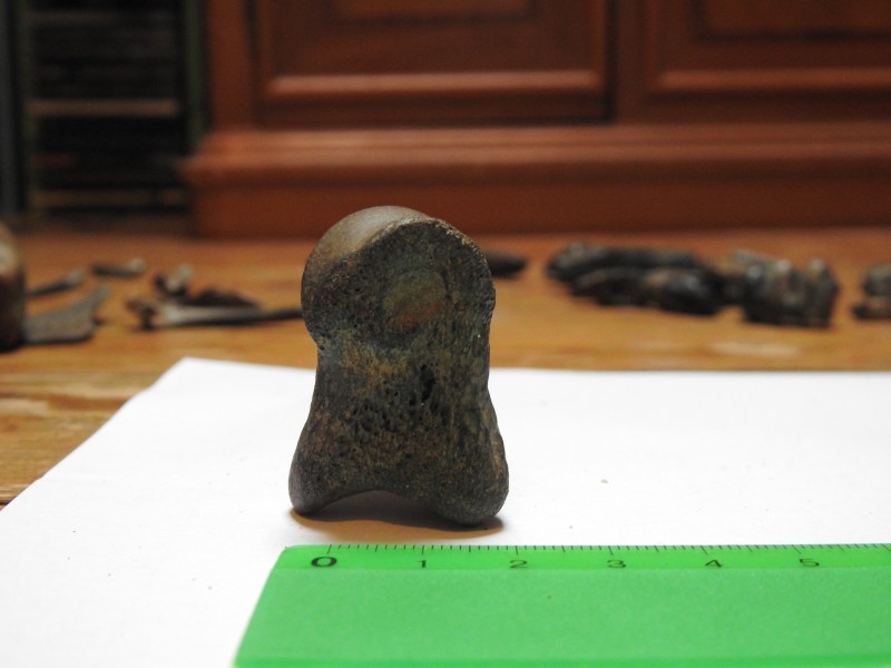 DSCN2906.JPG