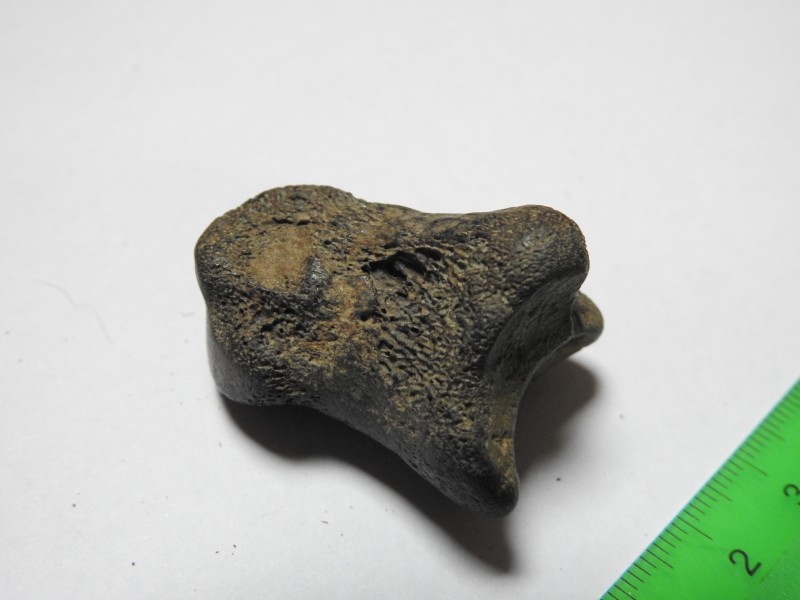 DSCN2909.JPG
