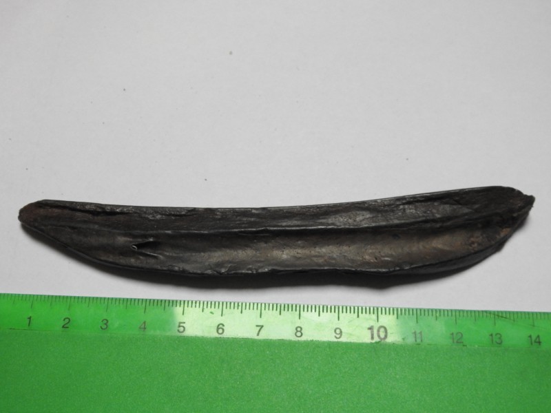 DSCN2929.JPG