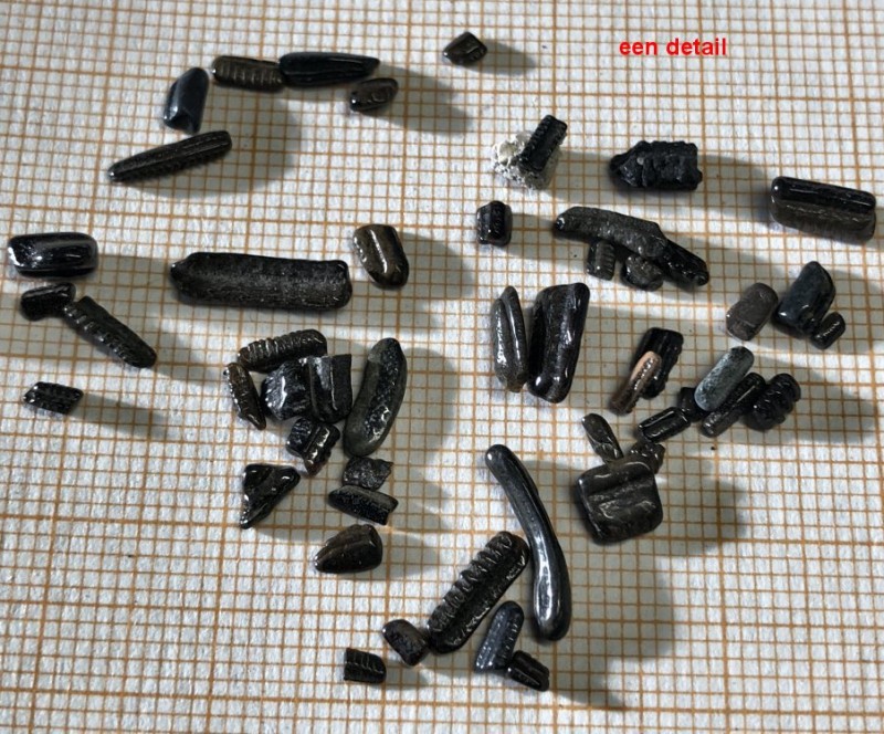 7.jpg (209.1 KiB) 526 keer bekeken 7.jpg