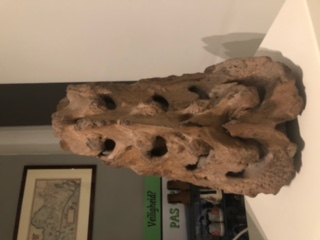 image1-1.jpeg