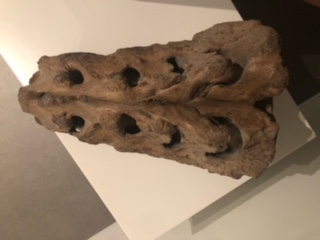 image10.jpeg