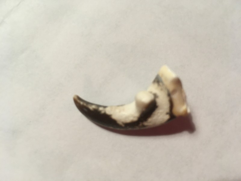 E7A3C8C8-7C53-4313-B3A0-CAB36BC2FAD6.jpeg (1.21 MiB) 524 keer bekeken E7A3C8C8-7C53-4313-B3A0-CAB36BC2FAD6.jpeg