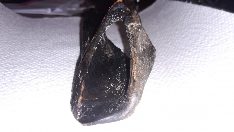 20201228_171850.jpg