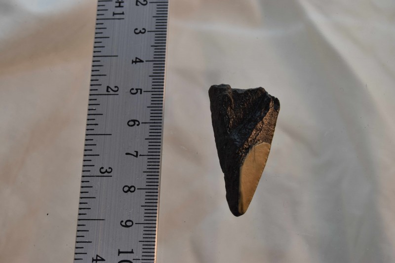 NIF_0095_small.JPG