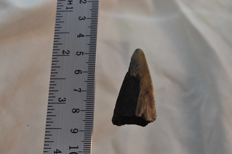 NIF_0096_small.JPG