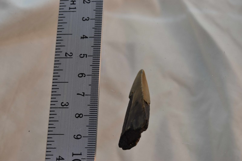 NIF_0097__small.JPG