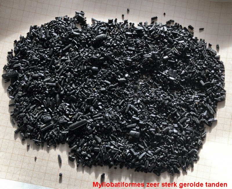 5.jpg (220.56 KiB) 470 keer bekeken 5.jpg