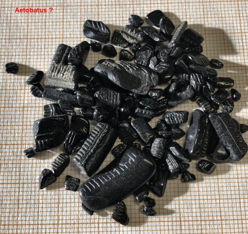 6.jpg (254.29 KiB) 470 keer bekeken 6.jpg