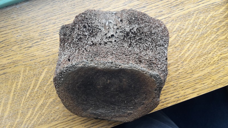20191109_123447.jpg