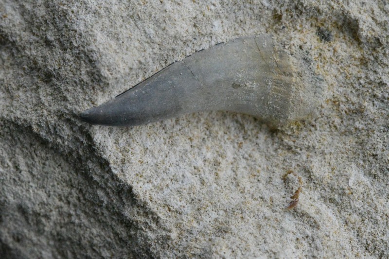 DSC_1675 - kopie.JPG