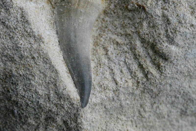DSC_1679 - kopie.JPG
