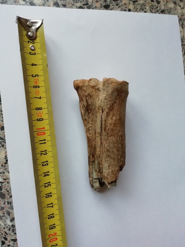 IMG_20210103_103847.jpg (2.89 MiB) 711 keer bekeken IMG_20210103_103847.jpg