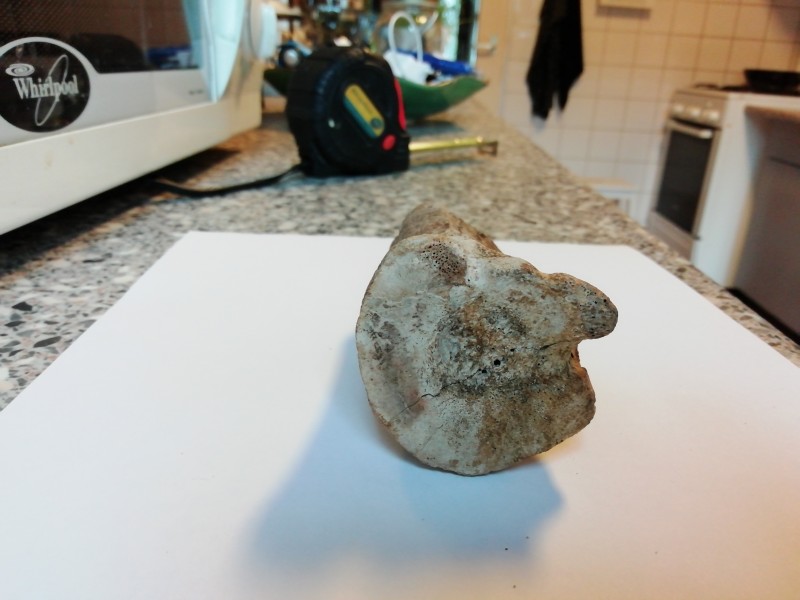 IMG_20210103_104039.jpg (1.95 MiB) 711 keer bekeken IMG_20210103_104039.jpg