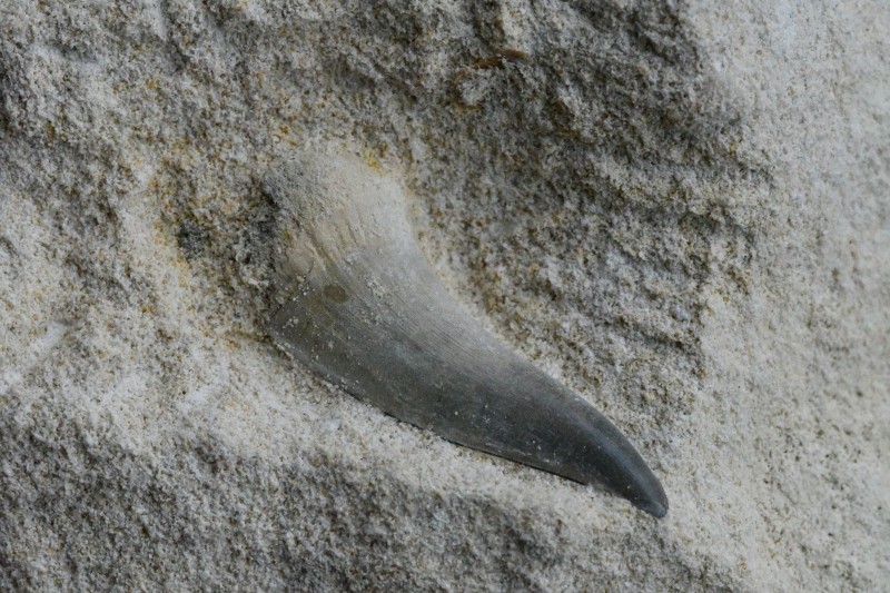 DSC_1683 - kopie.JPG