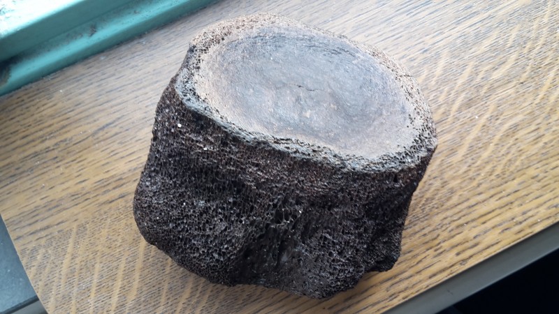20191109_123537.jpg