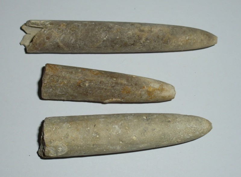 CIMG5883.JPG