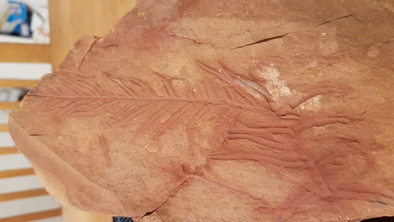 20210113_182100.jpg (3.11 MiB) 3483 keer bekeken 20210113_182100.jpg