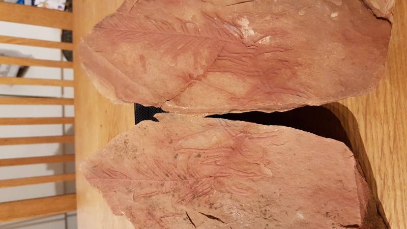 20210113_182120.jpg (2.97 MiB) 3473 keer bekeken 20210113_182120.jpg