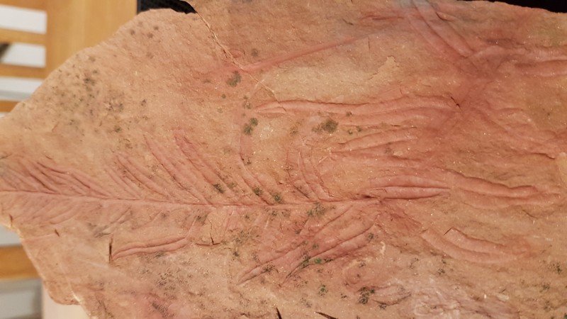 20210113_182109.jpg (2.79 MiB) 3235 keer bekeken 20210113_182109.jpg