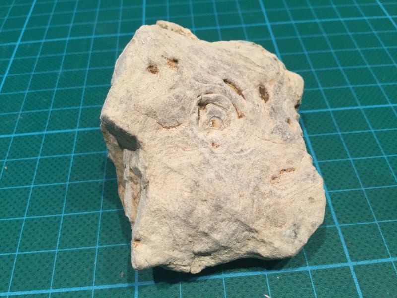 61E58E31-C55A-497B-9347-70DB84DB582B.jpeg (2.42 MiB) 1737 keer bekeken Bovenkant