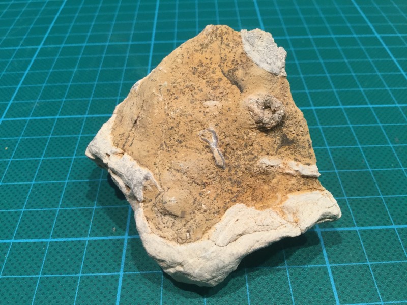 CFC3FD05-54C6-4493-952F-9E4DF4E263C4.jpeg (2.75 MiB) 1737 keer bekeken Onderkant