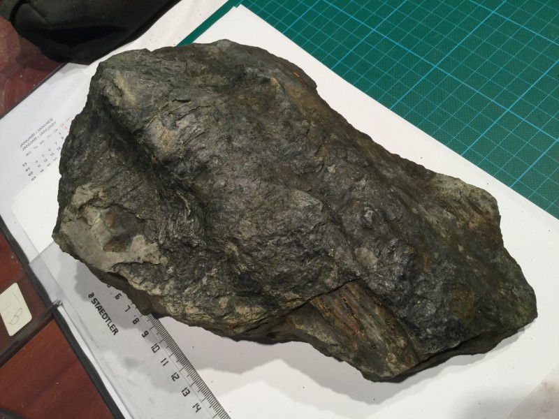 8023B76B-3483-4077-A3B5-3ABC8076C05F.jpeg (2.53 MiB) 602 keer bekeken Voorkant