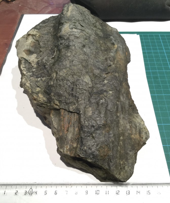 D1D73492-78A4-406C-A3F4-0E85181EA98A.jpeg (1.35 MiB) 602 keer bekeken Voorkant