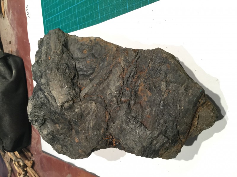 015307E9-758F-4236-931F-F780FBEFA4EB.jpeg (2.04 MiB) 688 keer bekeken Achterkant met takken (deze is ondersteboven verschenen, maar de volgende 2 zijn gelukkig duidelijker.)