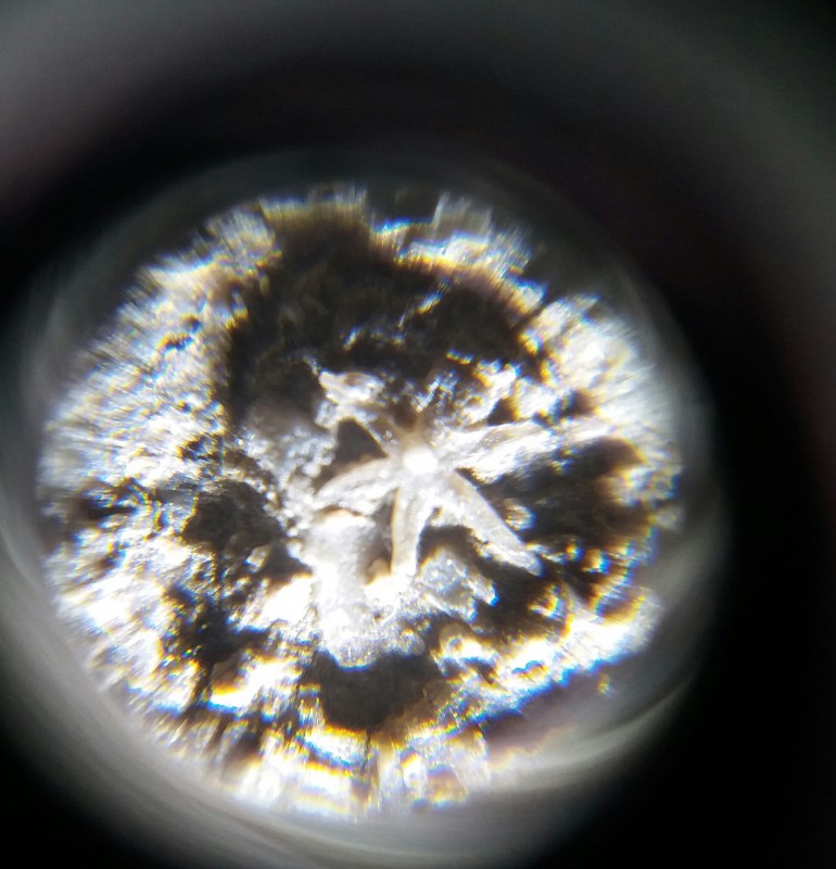 20210116_153704-1.jpg