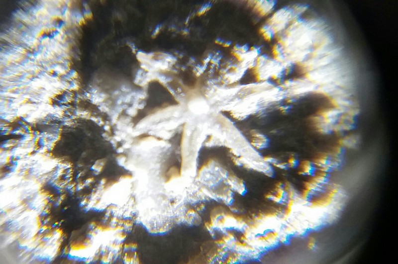 20210116_153704-1-1-1.jpg