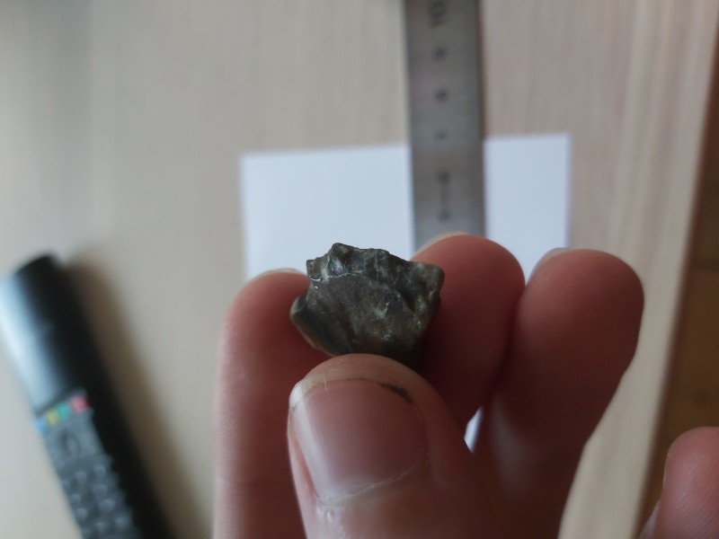 Werktuig Wouter 2.jpg (1.65 MiB) 1175 keer bekeken Werktuig Wouter 2.jpg