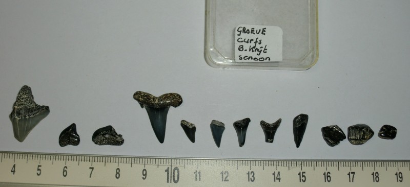 CIMG5913 (2).JPG