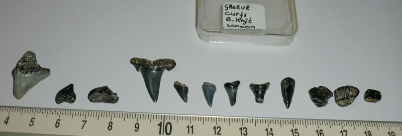 CIMG5914 (2).JPG