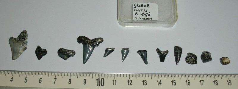 CIMG5915 (2).JPG