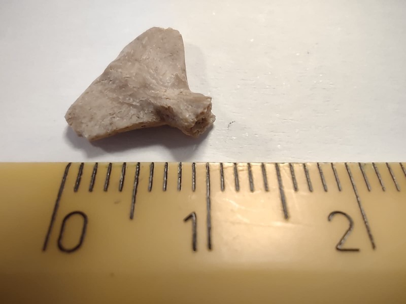 Hypural_1.jpg