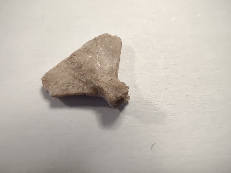 Hypural_5.jpg
