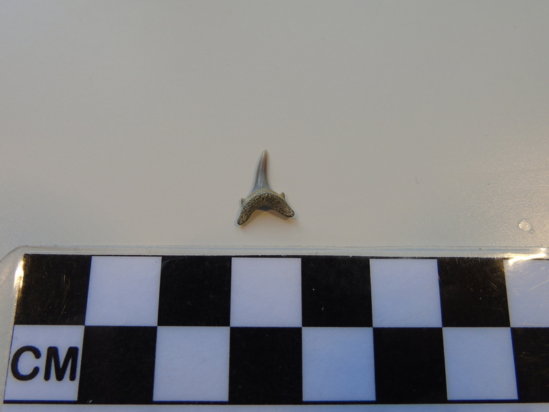 161122605315854462 (42).jpg