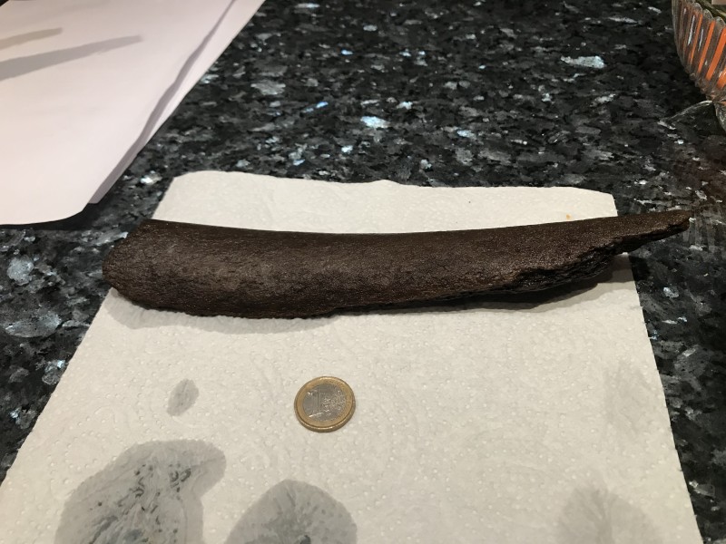 Rib?