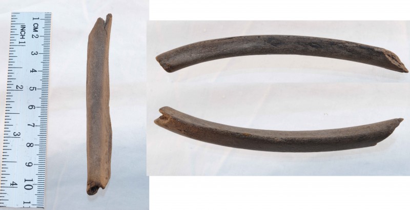 compilation.jpg (755.9 KiB) 470 keer bekeken Enigzinds buisvormig bot, die aan een kant een soort platte vleugel naast het holle gedeelte heeft. Ik vermoed iets in de richting van een schaap, geit of zwijn.