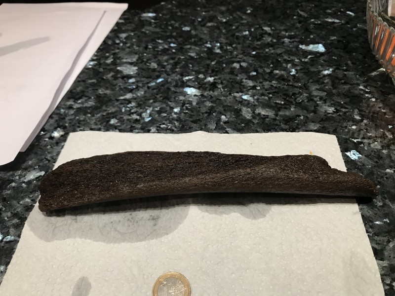Rib?